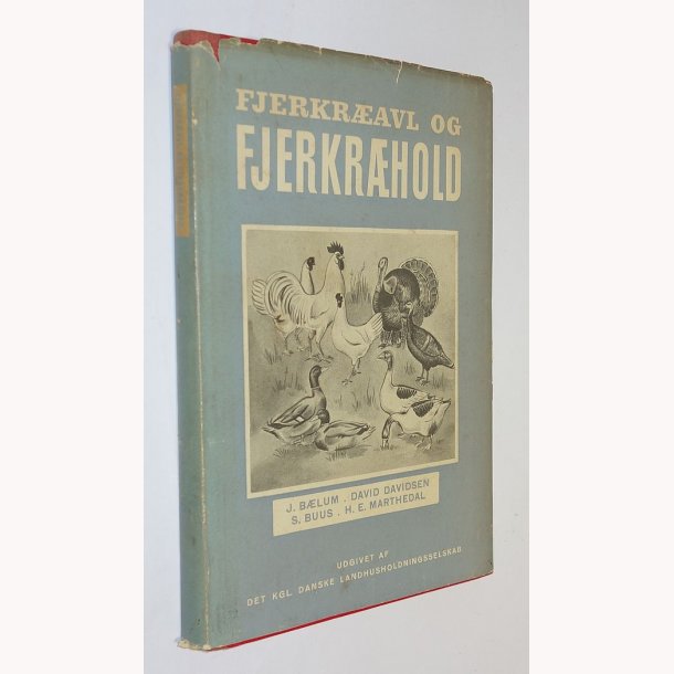 Fjerkravl og fjerkrhold