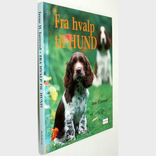 Fra hvalp til hund: Irene Jarved 