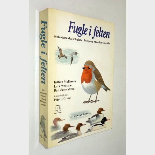 Fugle i felten: Killian Mullarney og Lars Svensson