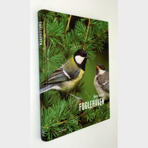 Fuglehaven: Benny Gnsbl