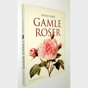 Gamle roser 