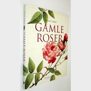 Gamle roser: Hugo Lykke 
