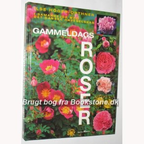 Gammeldags roser