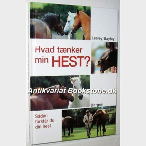 Hvad tnker min hest?