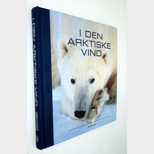 I den arktiske vind: Magnus Elander og Staffan Widstrand