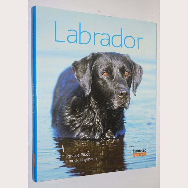 Labrador