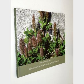 Pinngortitap kaaviffia | Naturens Akse: Kristian Olsen aaju