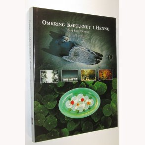 Omkring Kkkenet i Henne