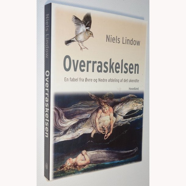 Overraskelsen