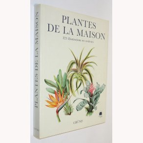 Plantes De La Maison