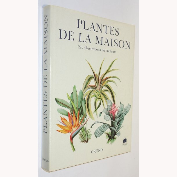 Plantes De La Maison