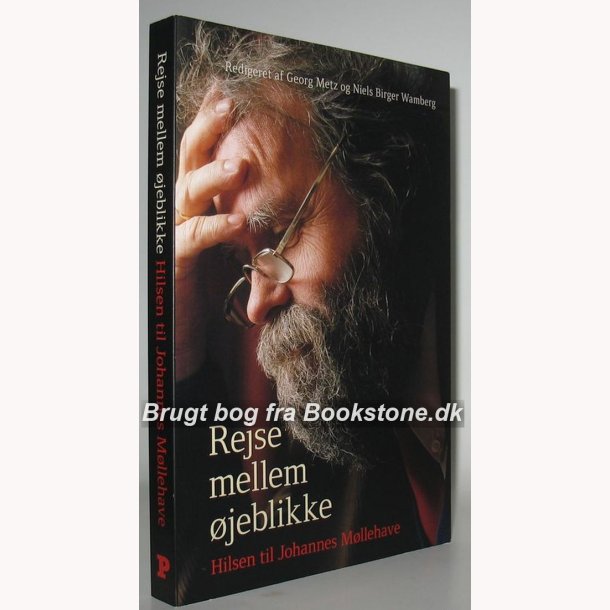 Rejsen mellem �jeblikke