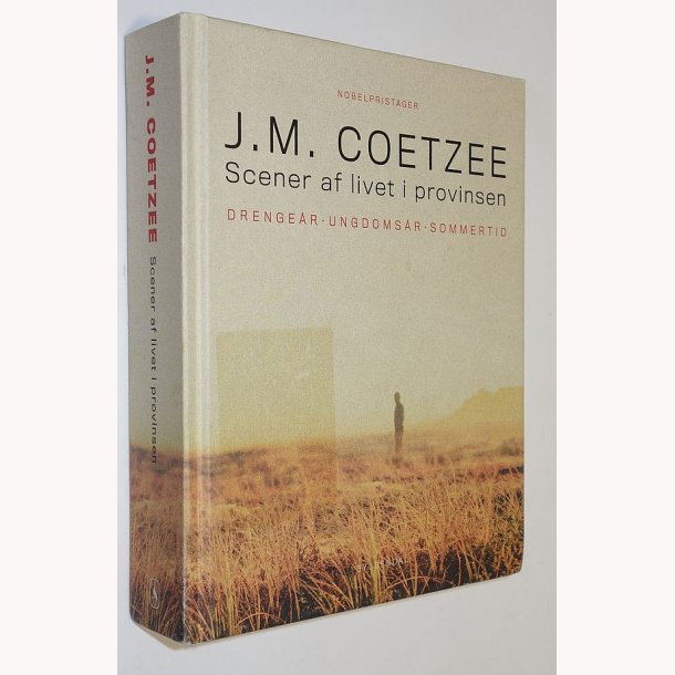 Scener af livet i provinsen