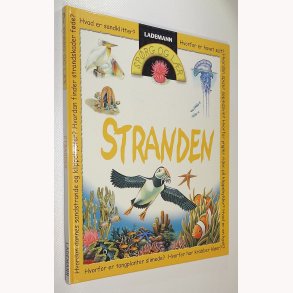 Sprg og Lr - Stranden