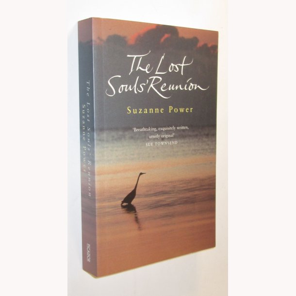 The Lost Souls&acute;Reunion