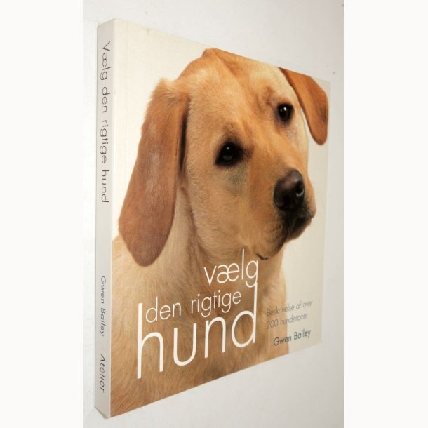 V�lg den rigtige hund: Gwen Bailey