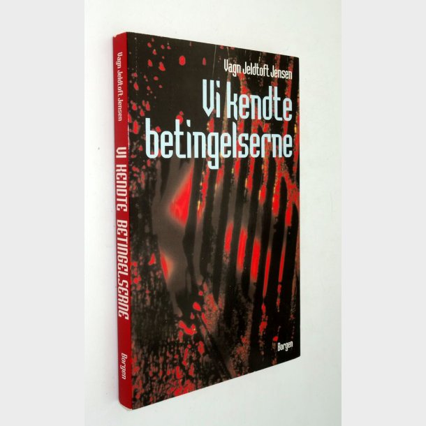 Vi kendte betingelserne: Vagn Jeldtoft Jensen