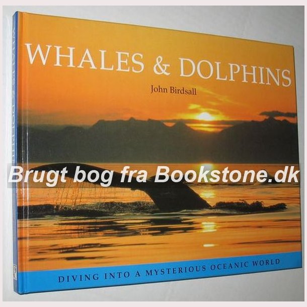 Whales &amp; Dolphins
